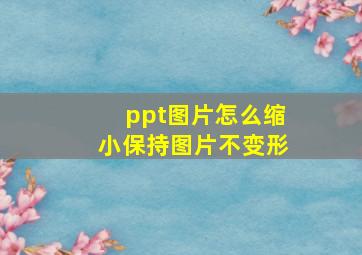 ppt图片怎么缩小保持图片不变形