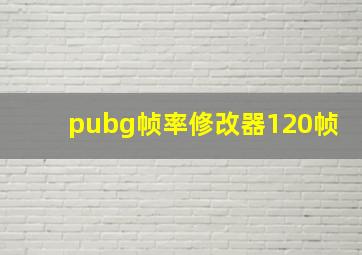 pubg帧率修改器120帧