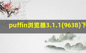 puffin浏览器3.1.1(9638)下载