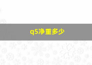 q5净重多少