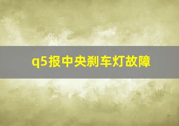 q5报中央刹车灯故障