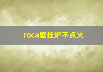 roca壁挂炉不点火