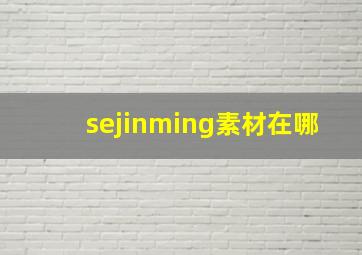 sejinming素材在哪