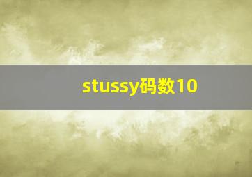 stussy码数10