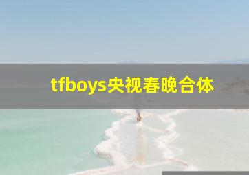 tfboys央视春晚合体