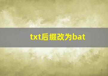 txt后缀改为bat