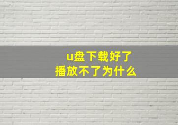 u盘下载好了播放不了为什么