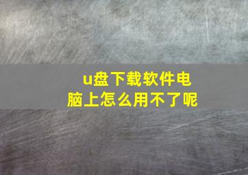 u盘下载软件电脑上怎么用不了呢