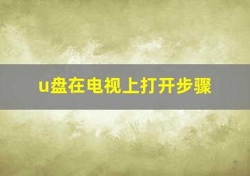 u盘在电视上打开步骤