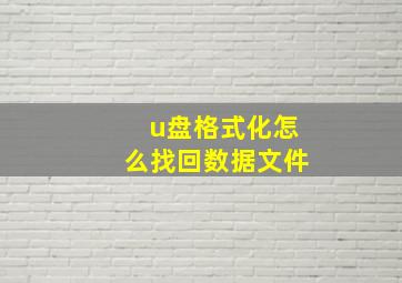 u盘格式化怎么找回数据文件