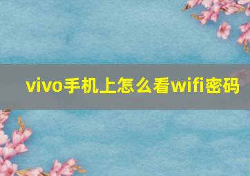 vivo手机上怎么看wifi密码