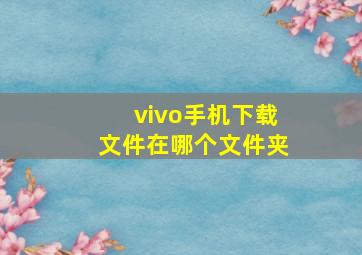 vivo手机下载文件在哪个文件夹