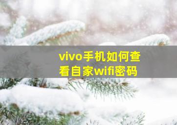 vivo手机如何查看自家wifi密码