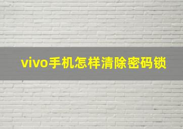 vivo手机怎样清除密码锁