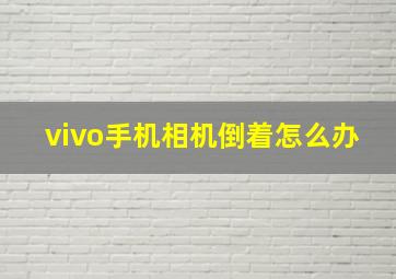 vivo手机相机倒着怎么办