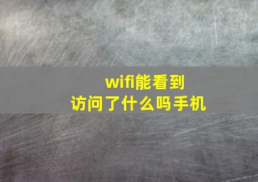 wifi能看到访问了什么吗手机