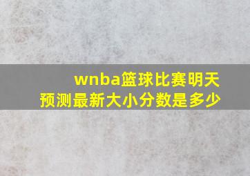 wnba篮球比赛明天预测最新大小分数是多少