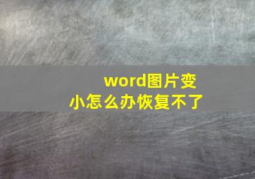 word图片变小怎么办恢复不了