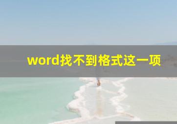 word找不到格式这一项