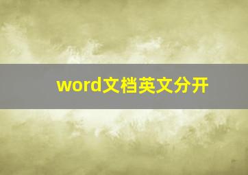 word文档英文分开