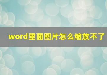 word里面图片怎么缩放不了