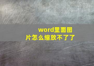 word里面图片怎么缩放不了了