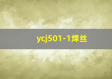 ycj501-1焊丝