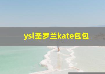 ysl圣罗兰kate包包