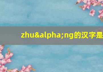 zhuαng的汉字是