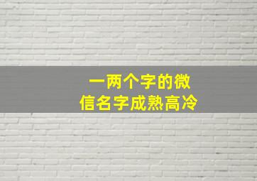 一两个字的微信名字成熟高冷