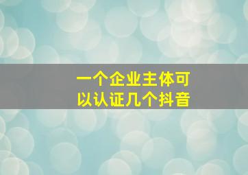 一个企业主体可以认证几个抖音