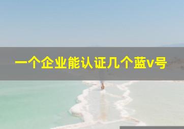 一个企业能认证几个蓝v号