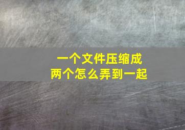 一个文件压缩成两个怎么弄到一起