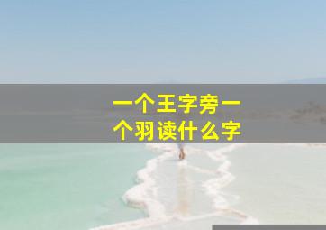 一个王字旁一个羽读什么字