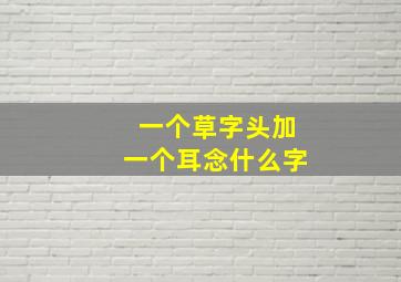 一个草字头加一个耳念什么字