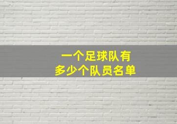 一个足球队有多少个队员名单