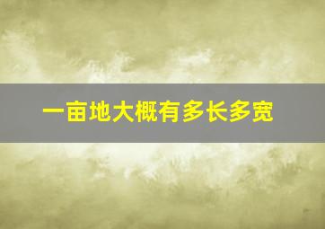 一亩地大概有多长多宽