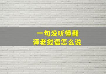 一句没听懂翻译老挝语怎么说