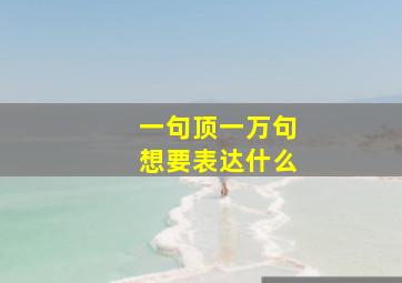 一句顶一万句想要表达什么