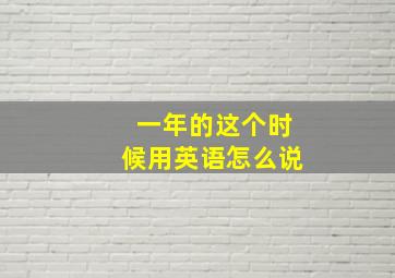 一年的这个时候用英语怎么说