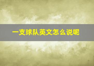 一支球队英文怎么说呢