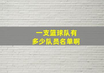 一支篮球队有多少队员名单啊