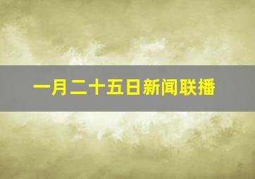 一月二十五日新闻联播