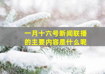 一月十六号新闻联播的主要内容是什么呢