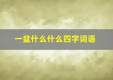 一盆什么什么四字词语