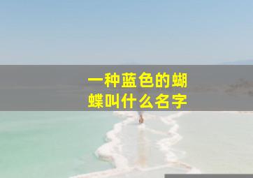 一种蓝色的蝴蝶叫什么名字