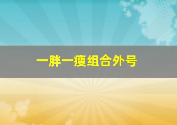 一胖一瘦组合外号