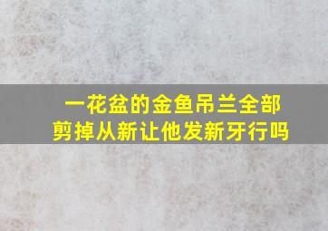 一花盆的金鱼吊兰全部剪掉从新让他发新牙行吗