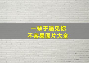 一辈子遇见你不容易图片大全