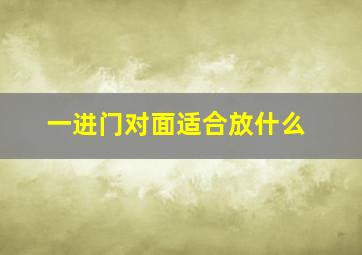 一进门对面适合放什么